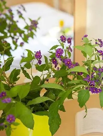 Hanioti Hotel Hotel 2*