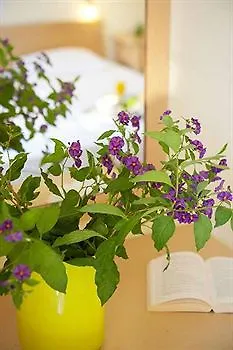 Hanioti Hotel Отель