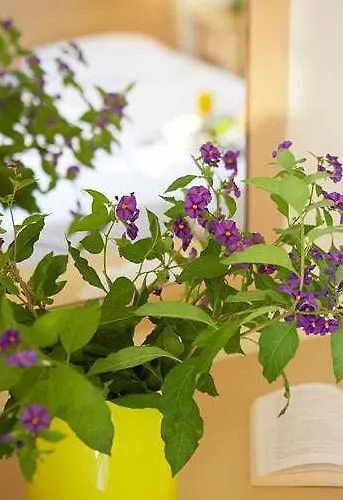 Hanioti Hotel Отель 2*